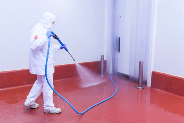 Winterizing Services in Palmhurst, TX