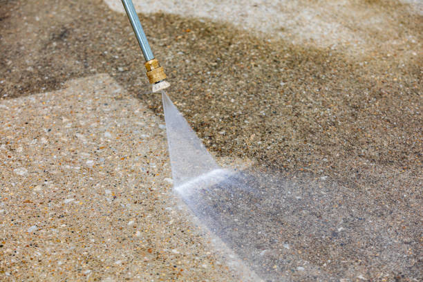 Animal Enclosure Cleaning in Palmhurst, TX